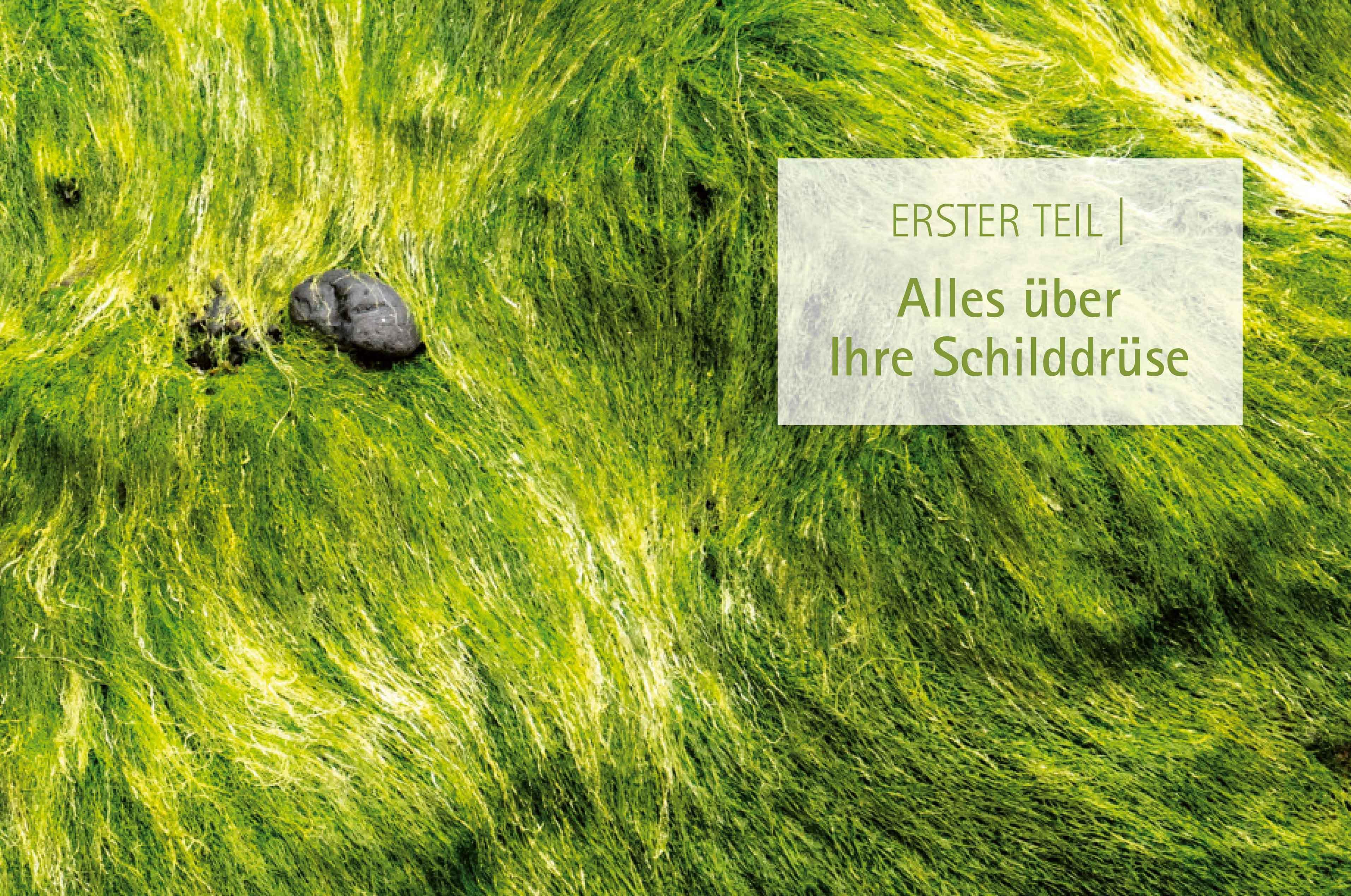 Beispielinhalt (Bild) Heile deine Schilddrüse