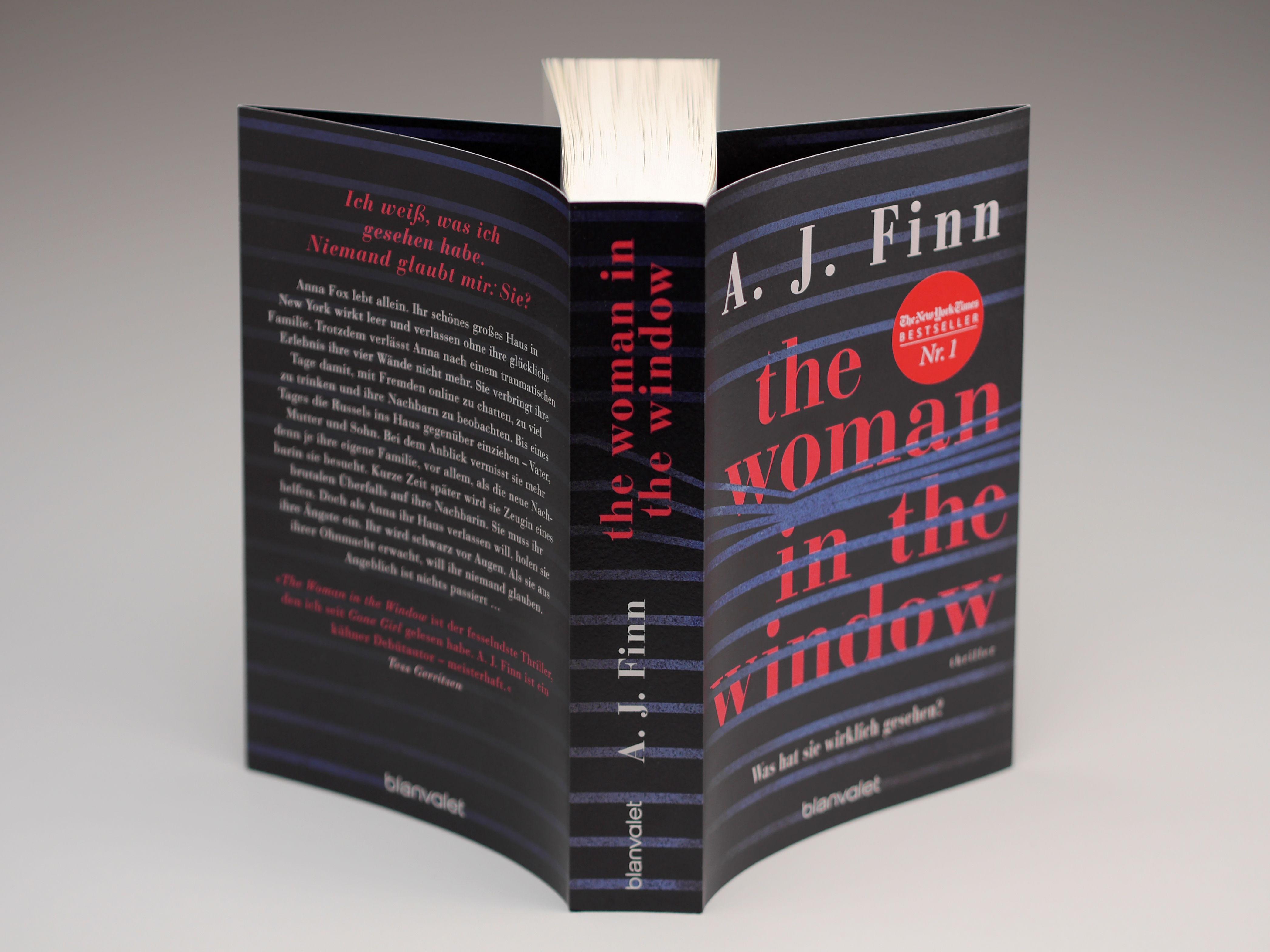 Beispielinhalt (Bild) The Woman in the Window - Was hat sie wirklich gesehen?