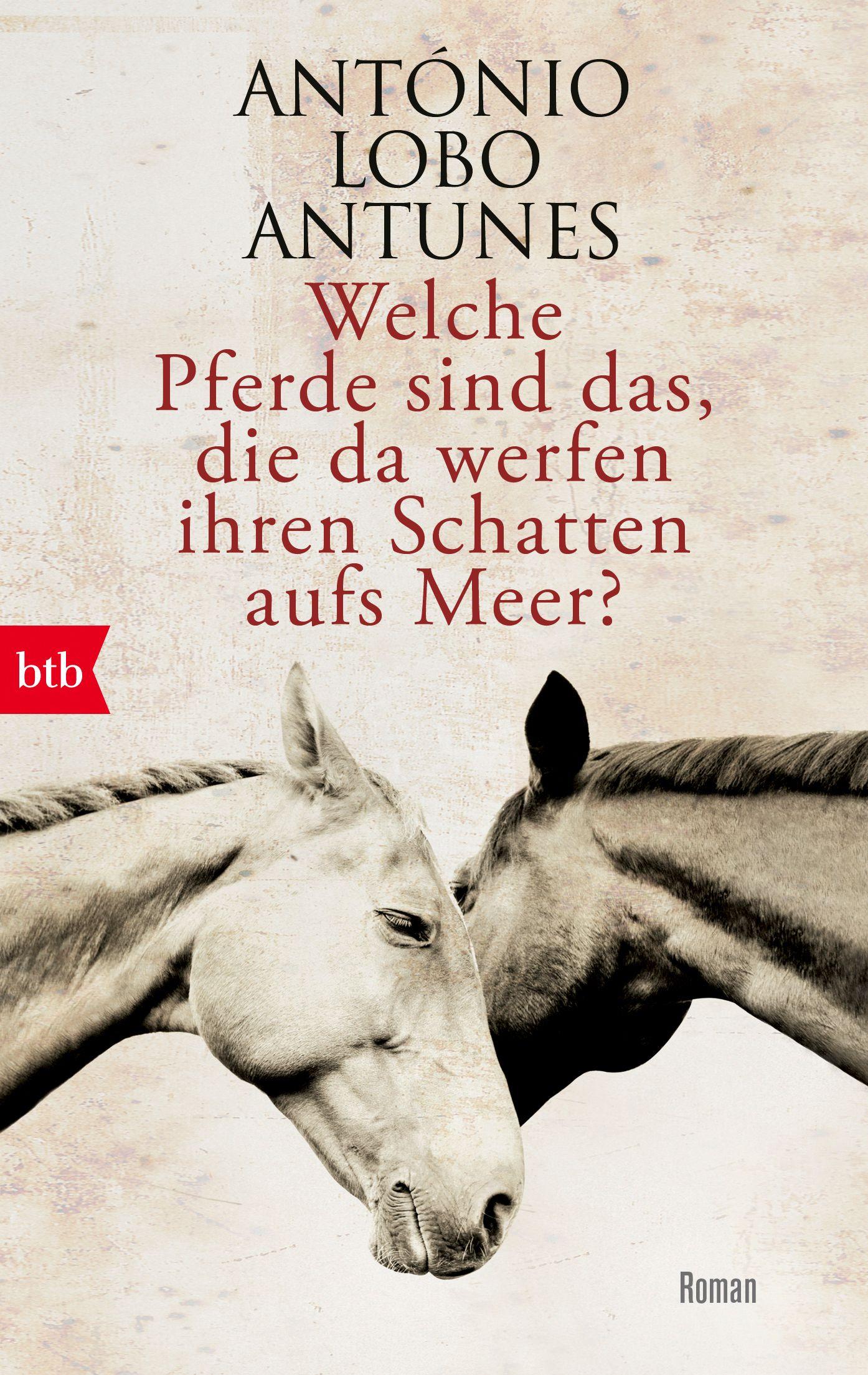 Vorderes Coverbild Welche Pferde sind das, die da werfen ihren Schatten aufs Meer?