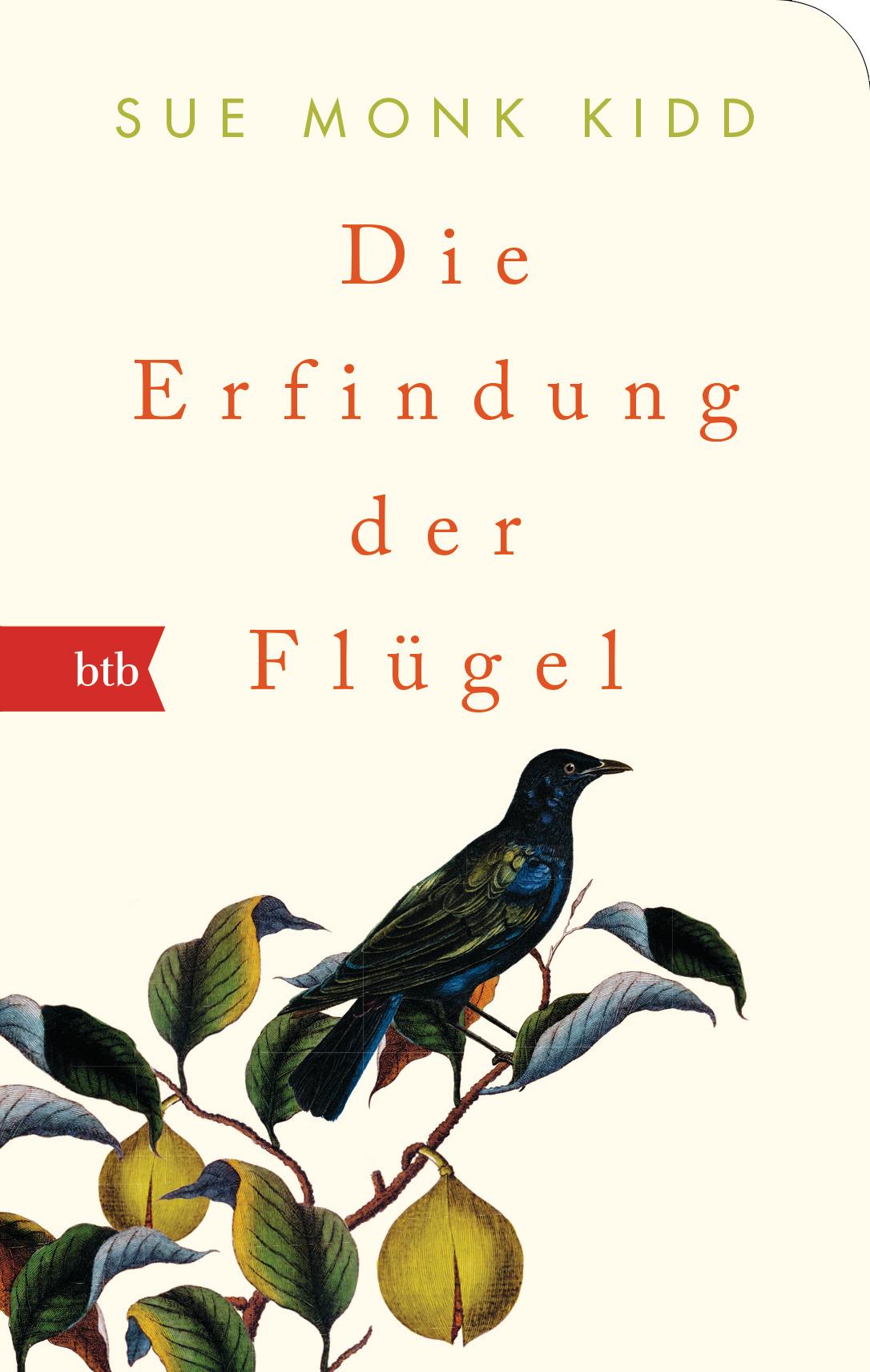 Vorderes Coverbild Die Erfindung der Flügel