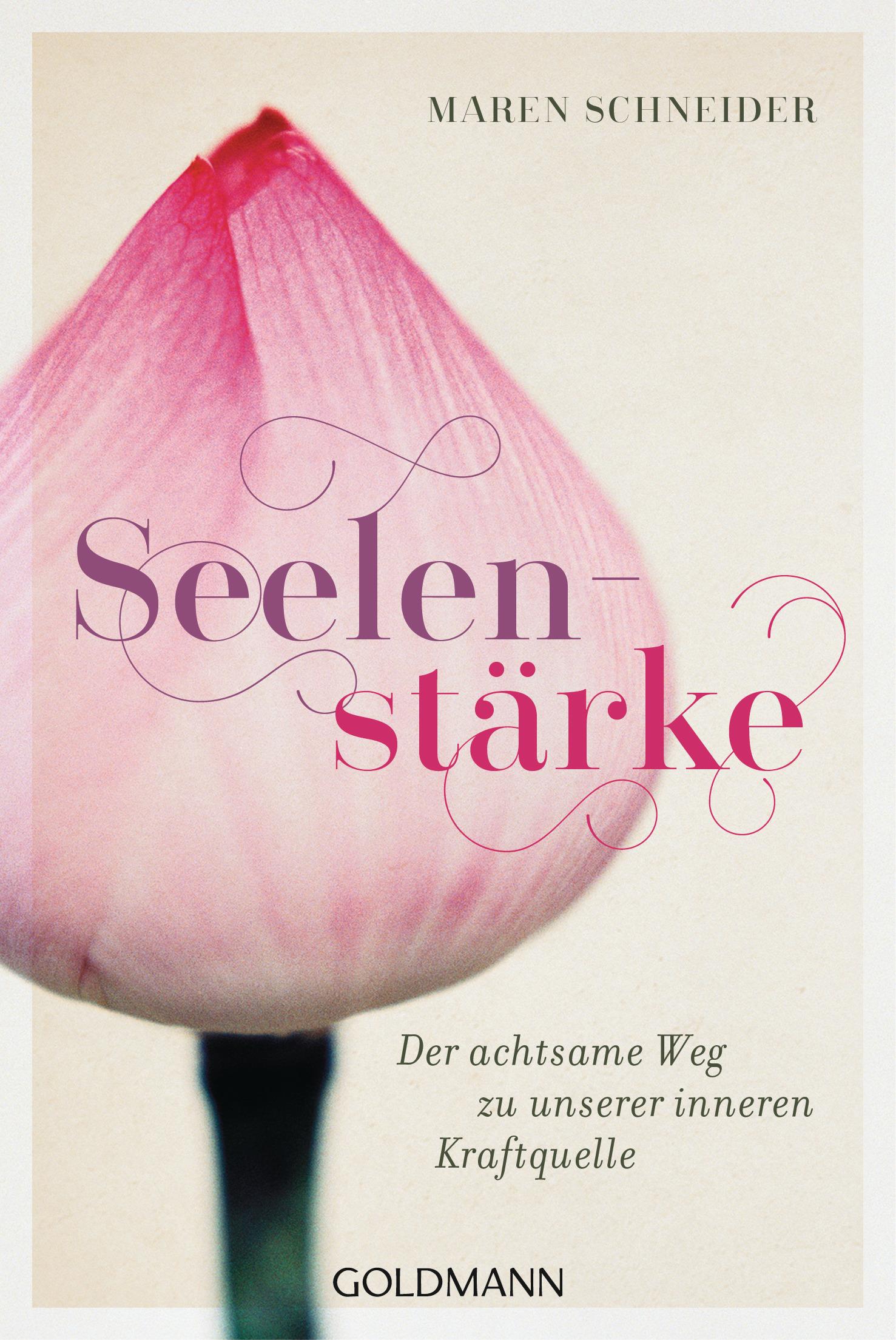 Vorderes Coverbild Seelenstärke