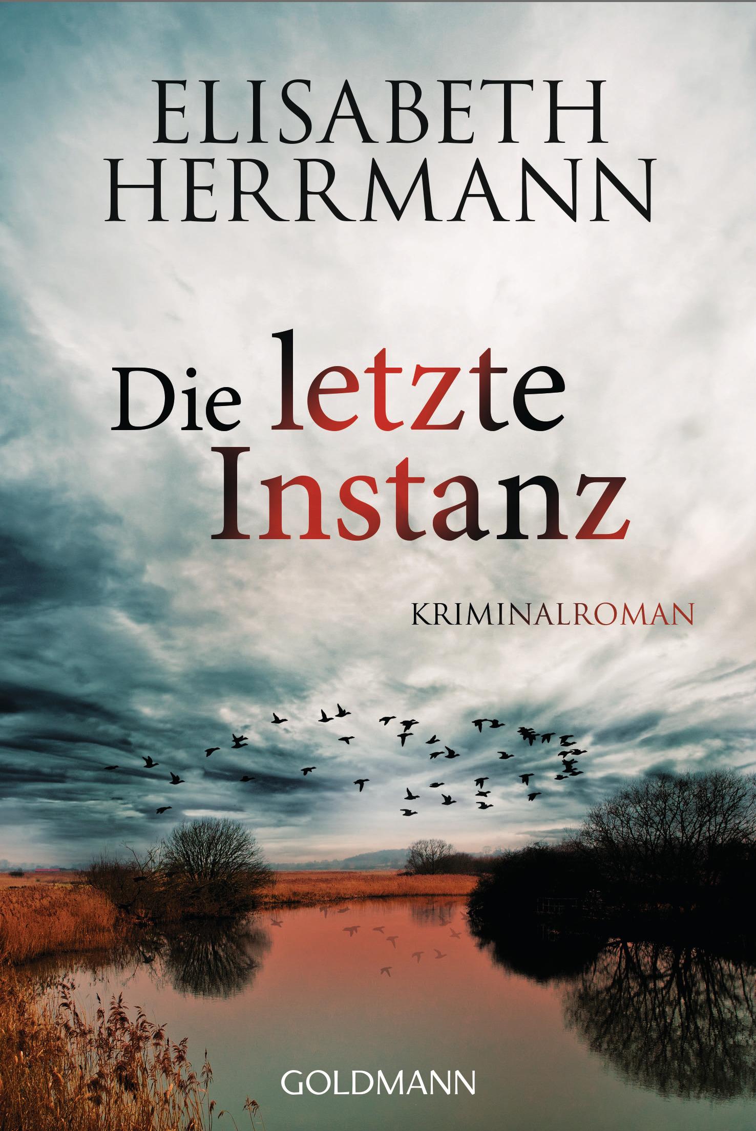 Vorderes Coverbild Die letzte Instanz