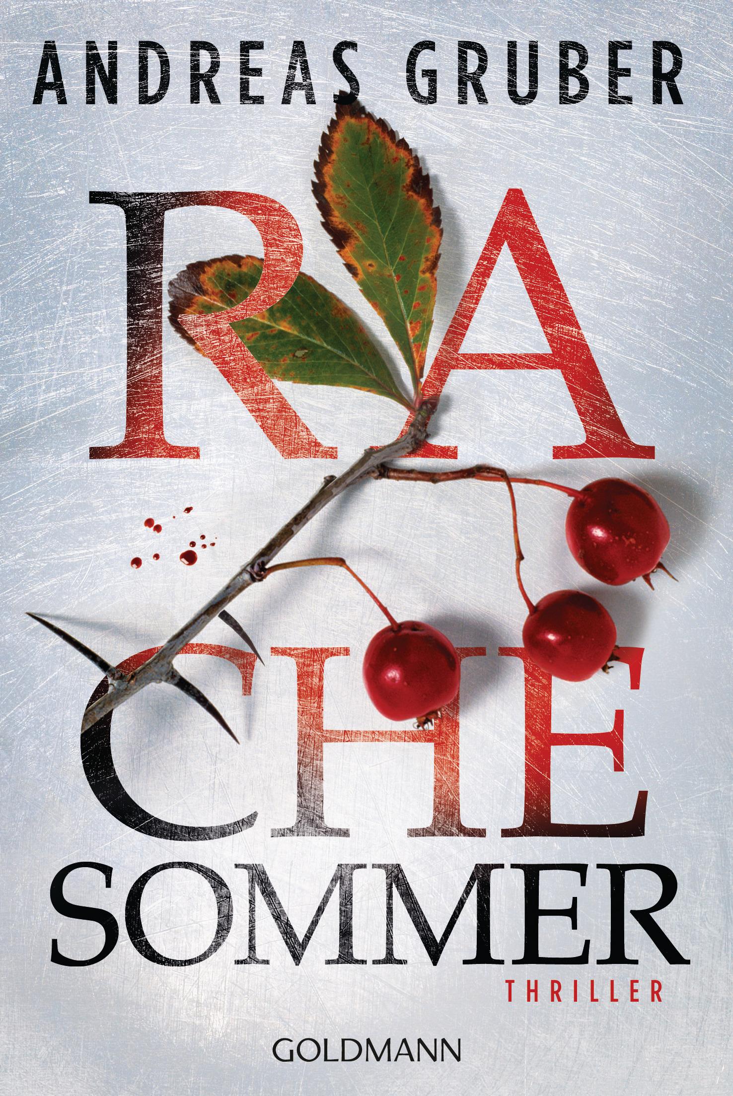 Vorderes Coverbild Rachesommer