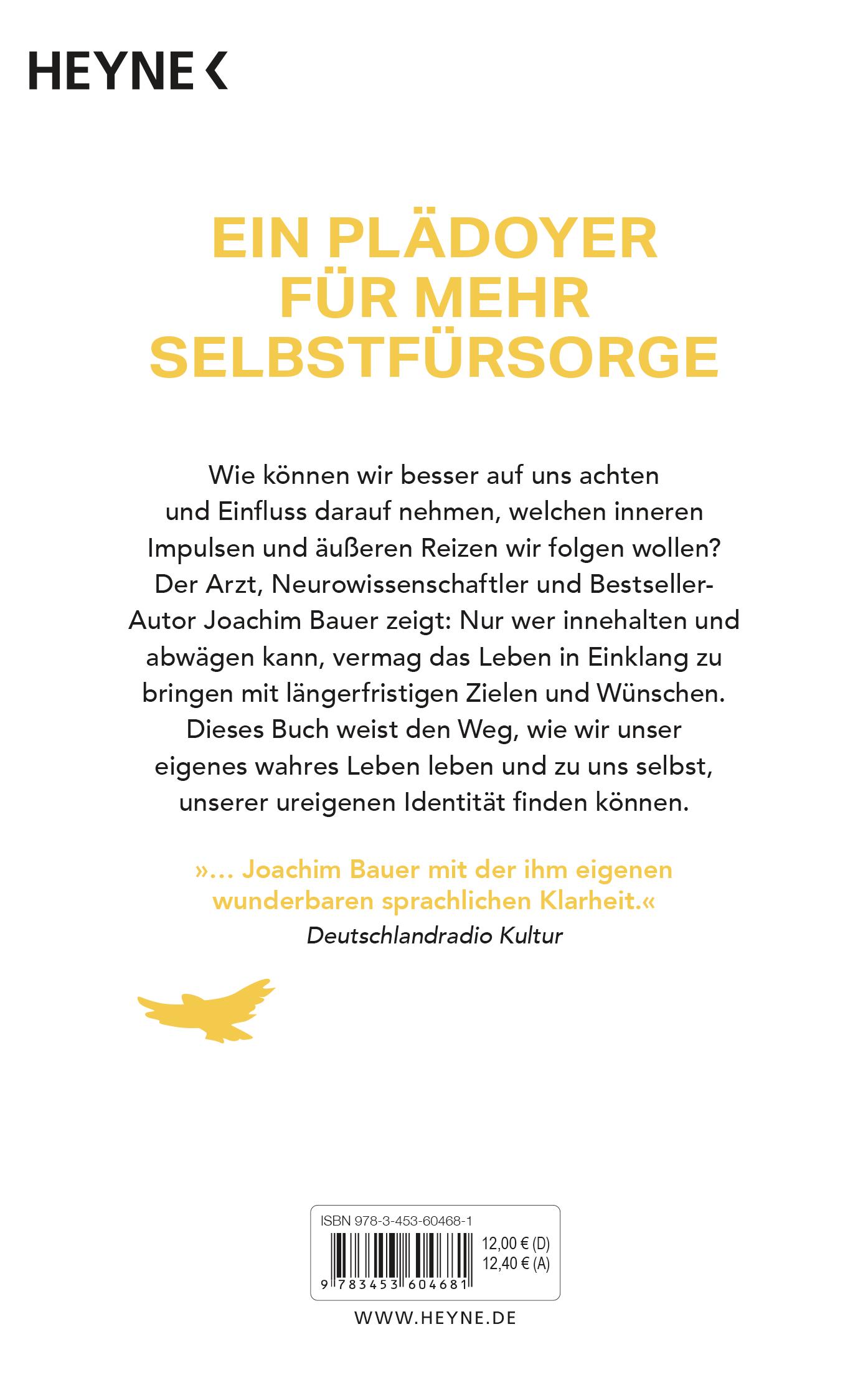 Beispielinhalt (Bild) Selbststeuerung