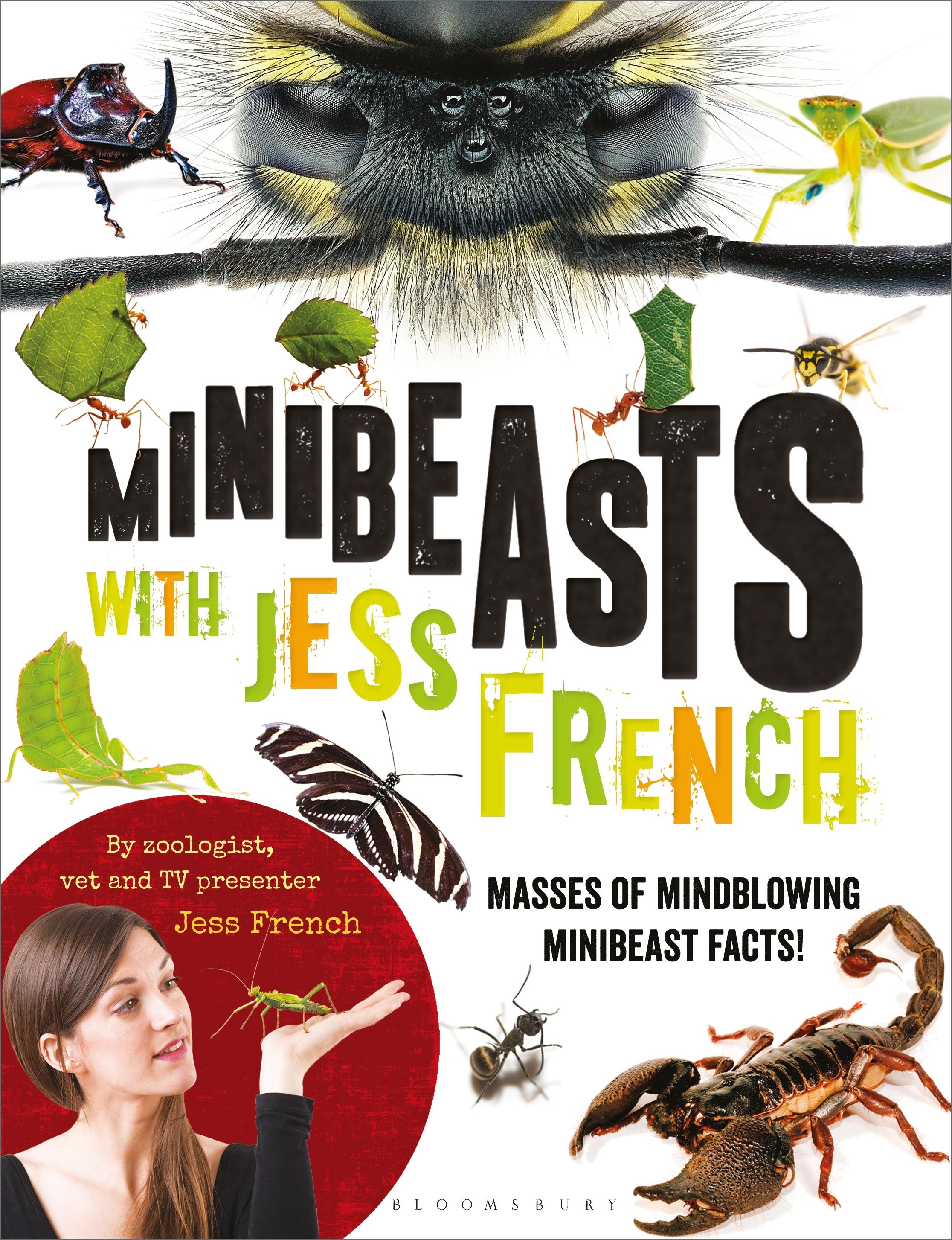 Vorderes Coverbild Minibeasts with Jess French