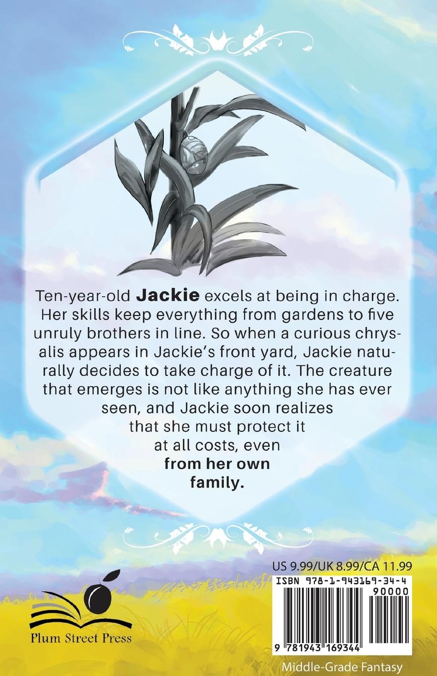 Rückseitencover Jupiter Storm