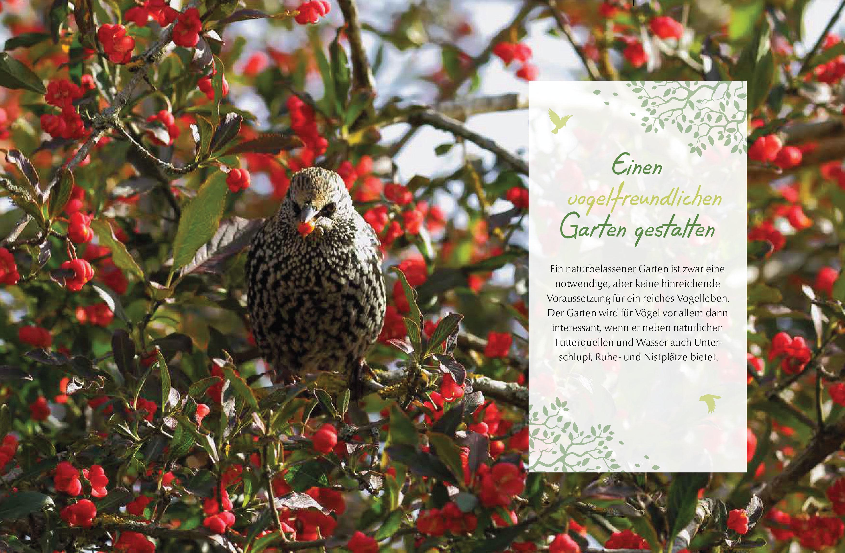 Beispielinhalt (Bild) Mein vogelfreundlicher Garten