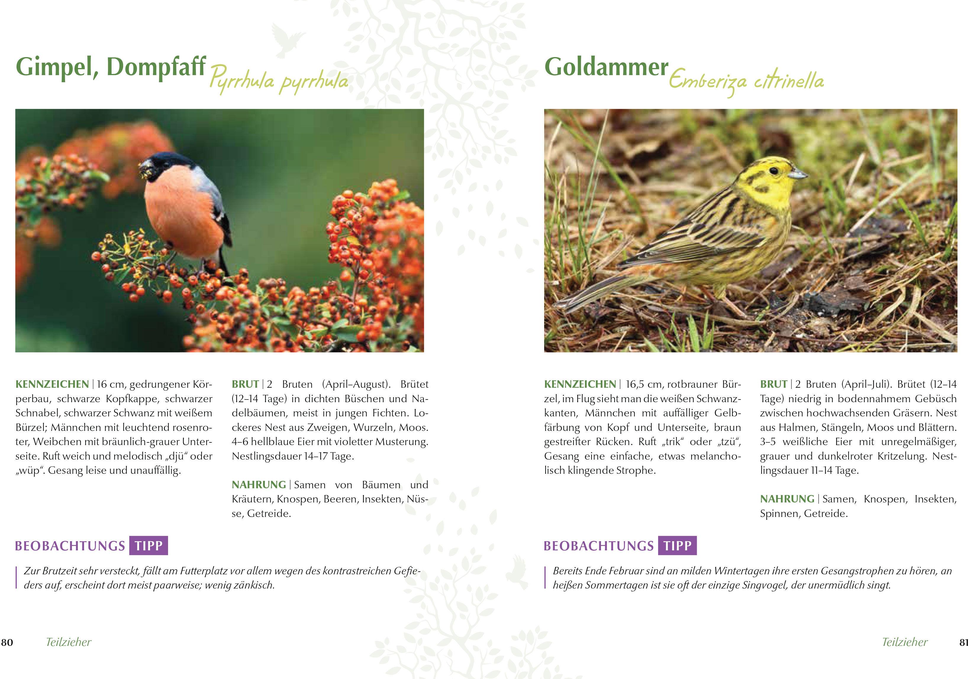 Beispielinhalt (Bild) Mein vogelfreundlicher Garten