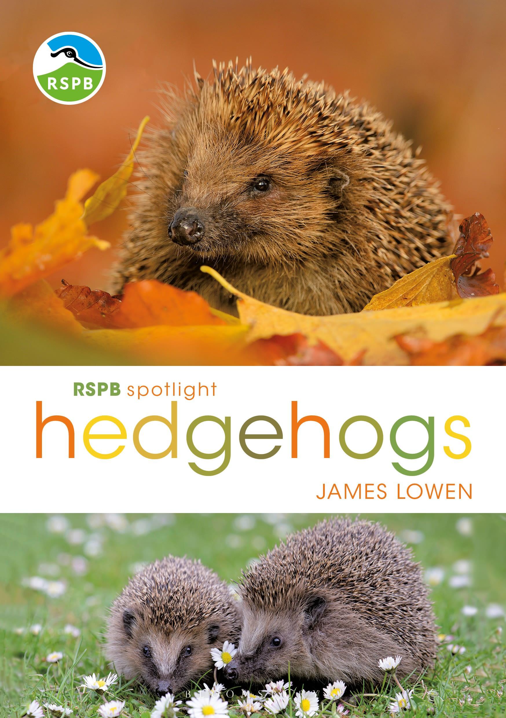 Vorderes Coverbild RSPB Spotlight Hedgehogs
