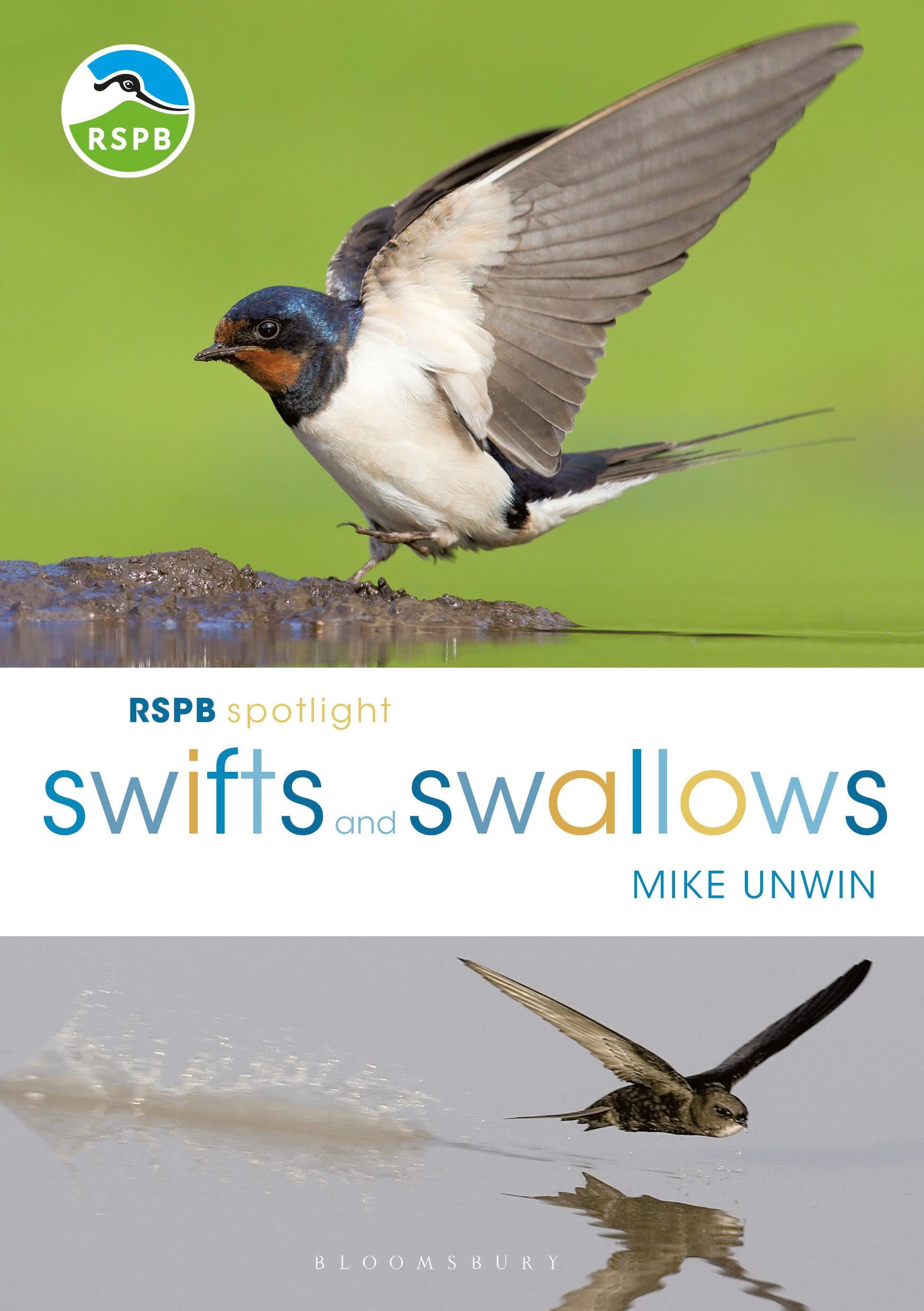 Vorderes Coverbild RSPB Spotlight Swifts and Swallows