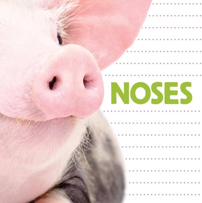 Vorderes Coverbild Noses