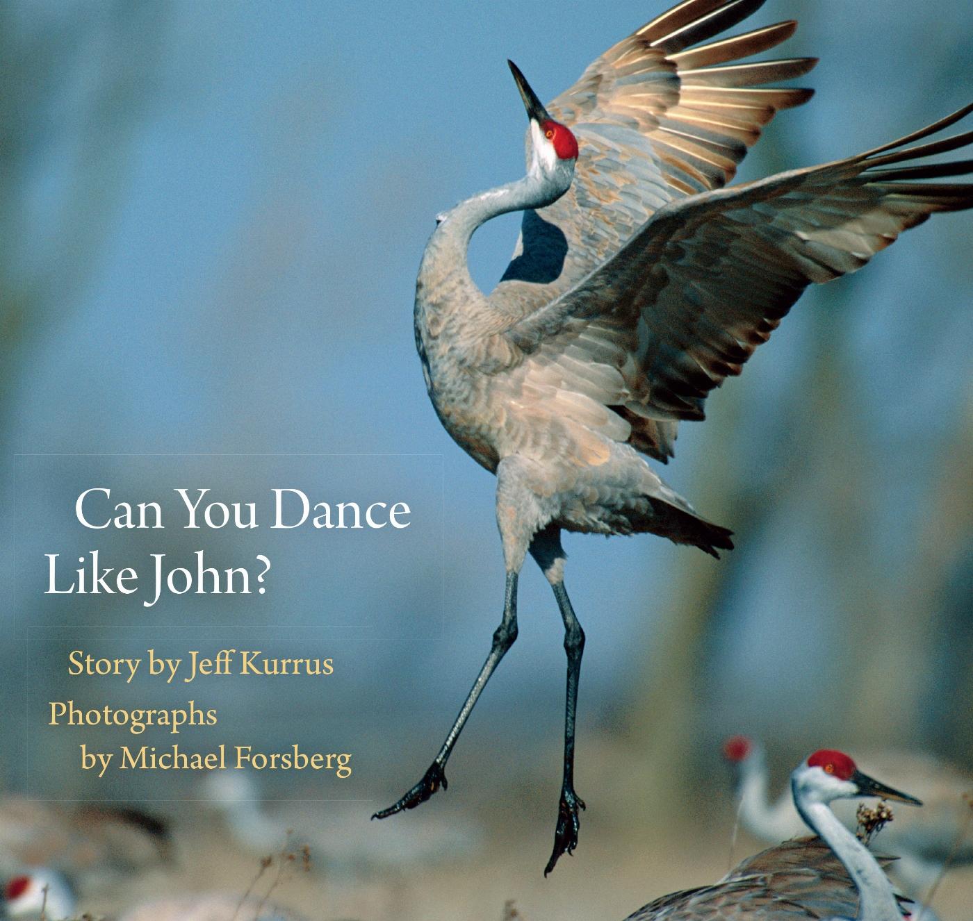 Vorderes Coverbild Can You Dance Like John?