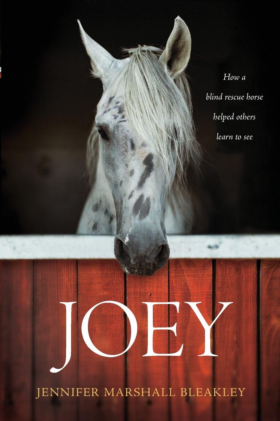 Vorderes Coverbild Joey