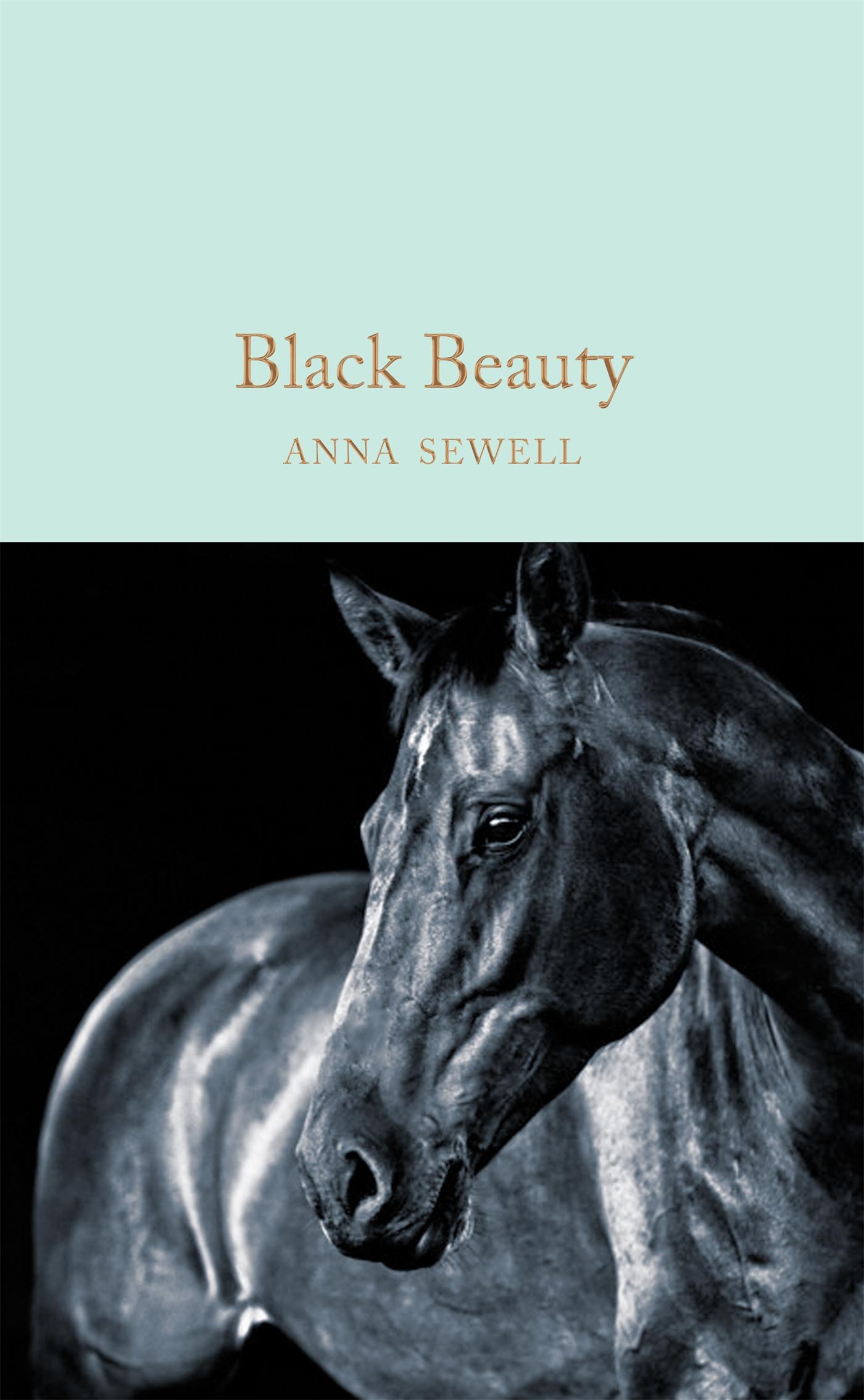 Vorderes Coverbild Black Beauty