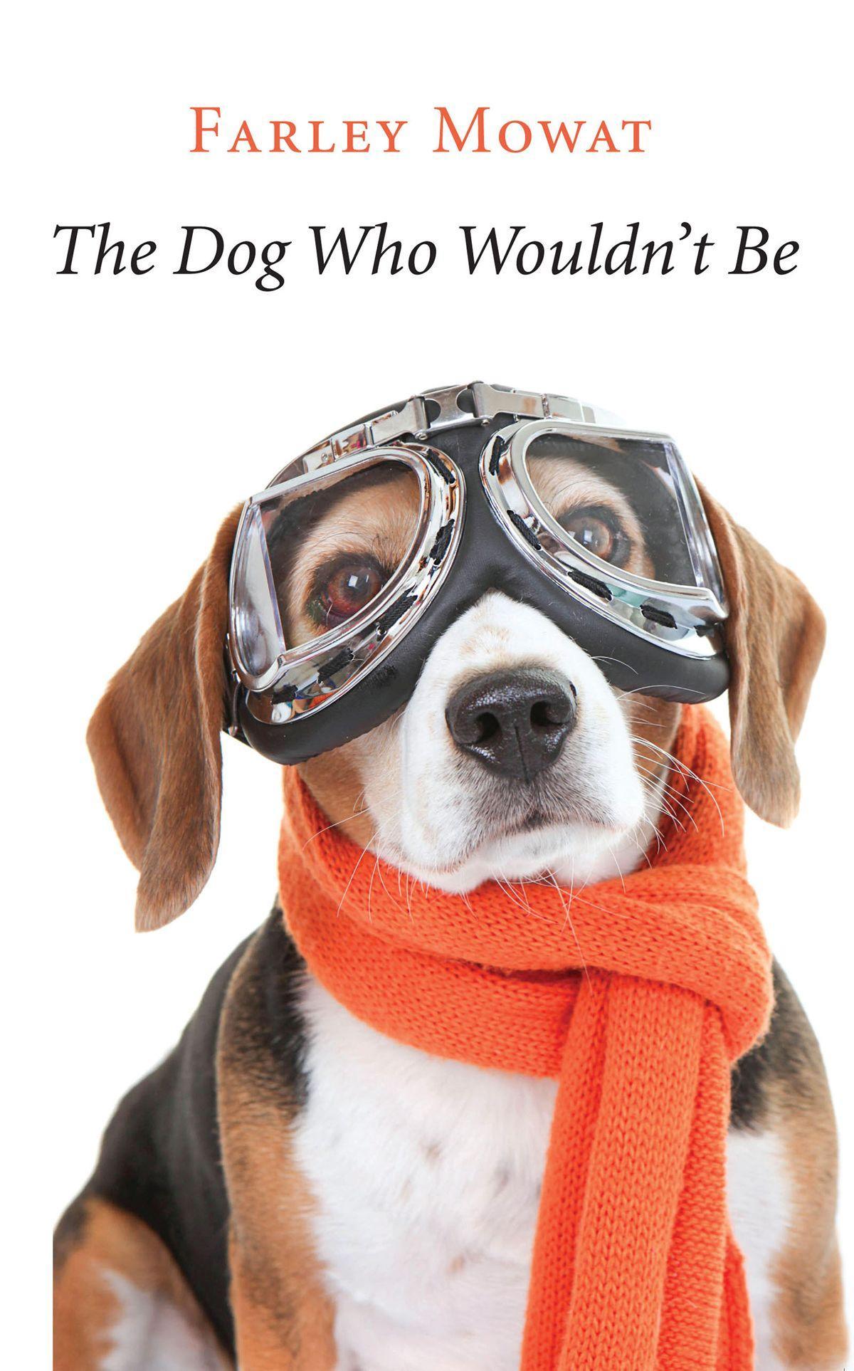 Vorderes Coverbild The Dog Who Wouldn't Be