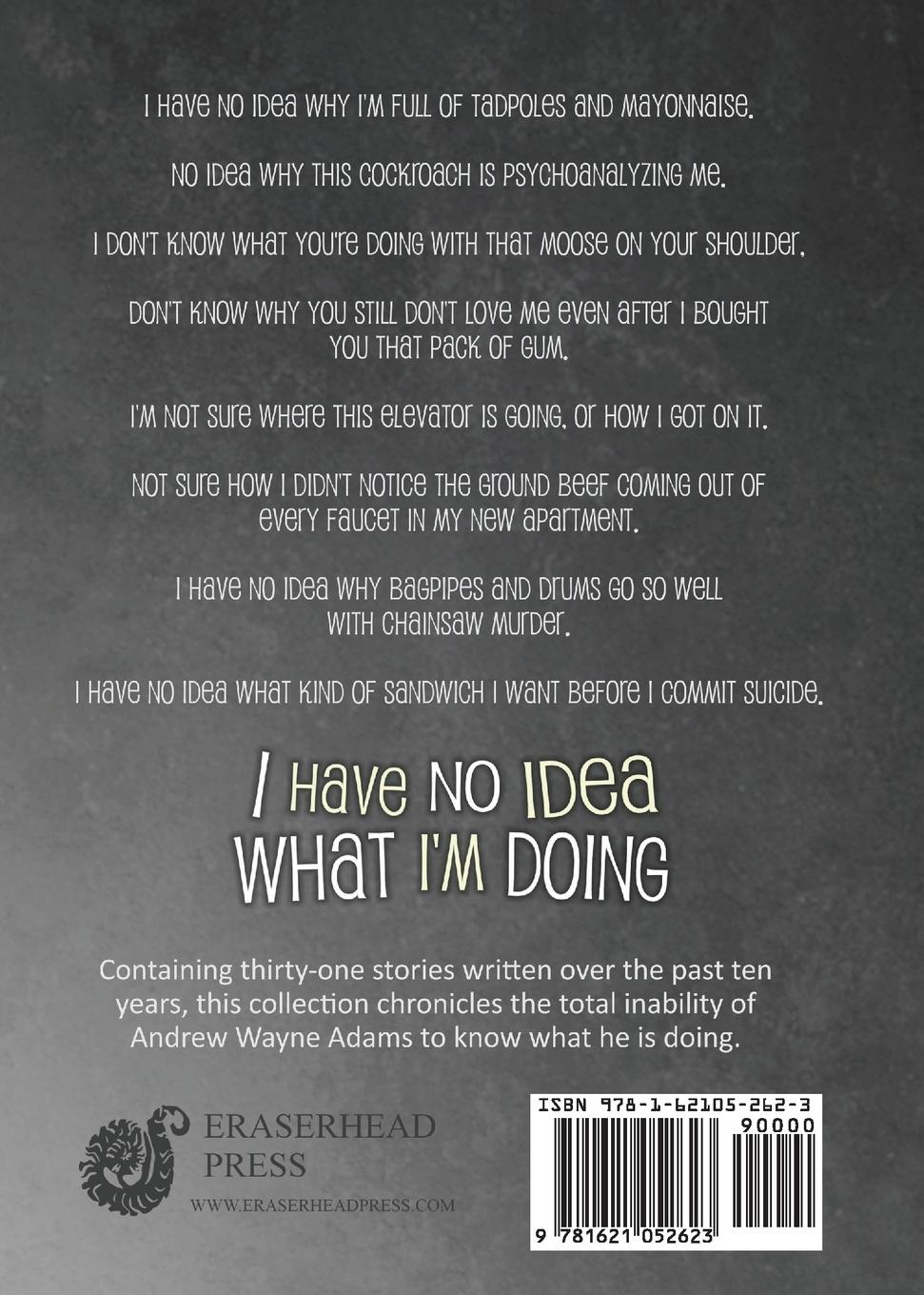 Rückseitencover I Have No Idea What I'm Doing
