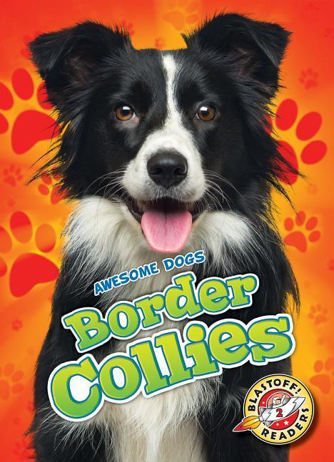 Vorderes Coverbild Border Collies