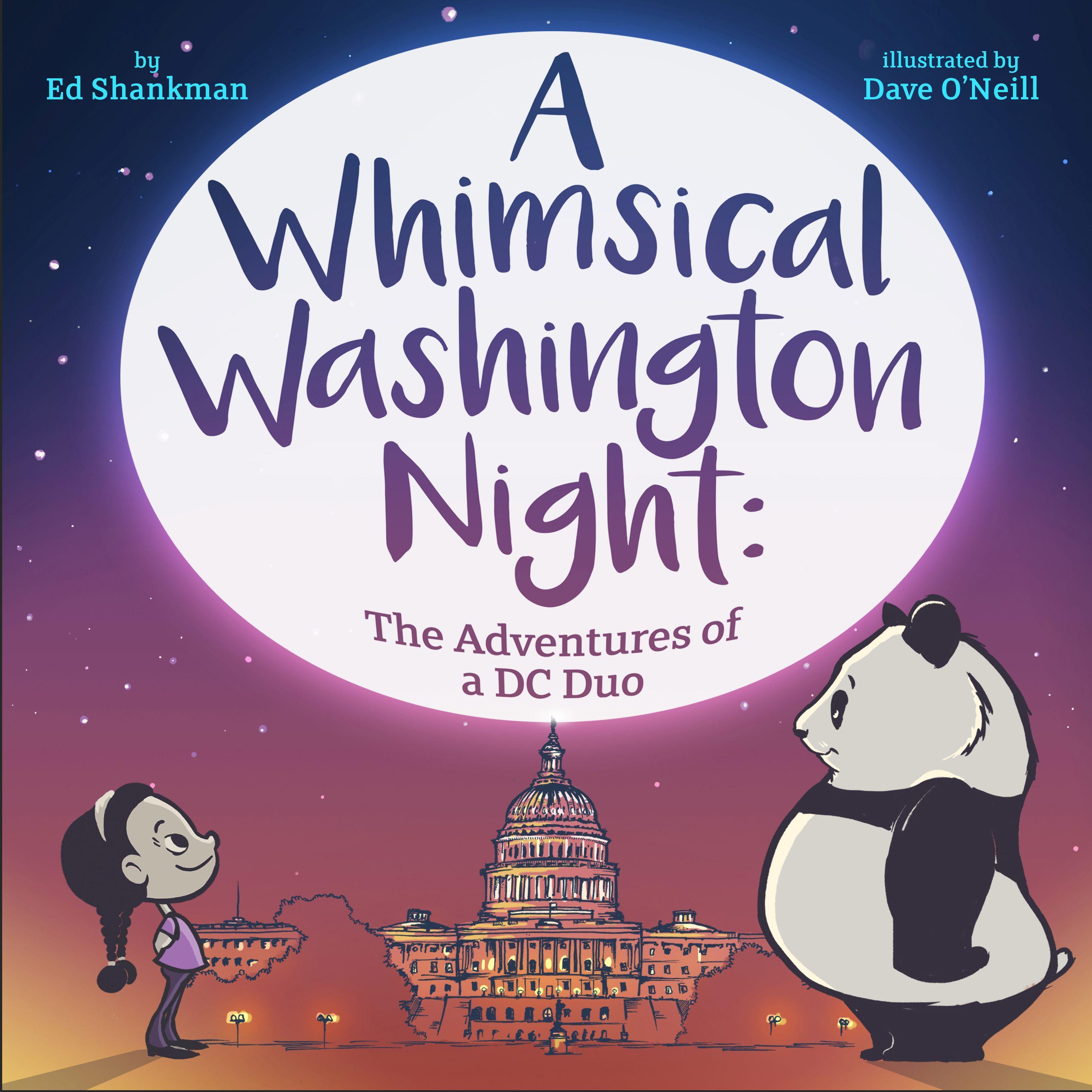 Vorderes Coverbild A Whimsical Washington Night