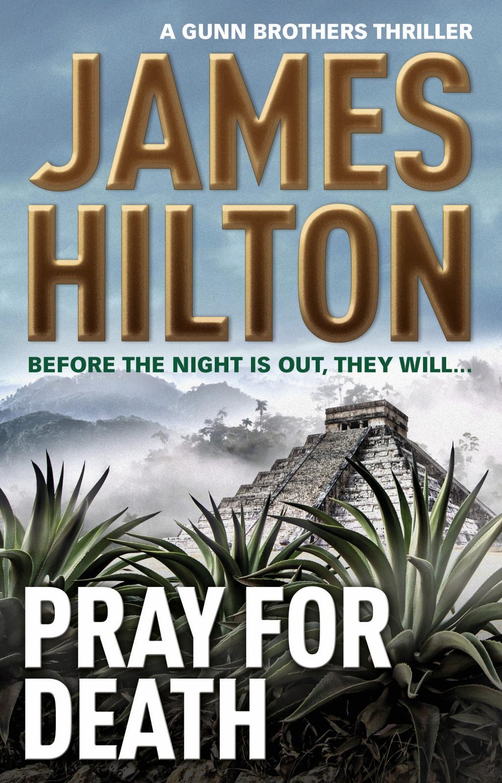 Vorderes Coverbild Pray for Death (a Gunn Brothers Thriller)