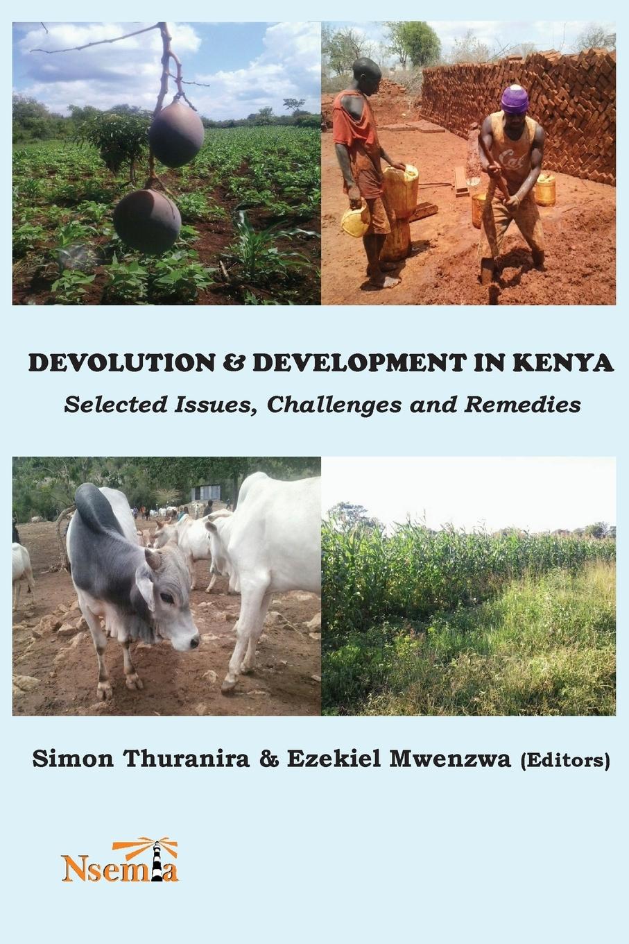 Vorderes Coverbild Devolution and Development in Kenya