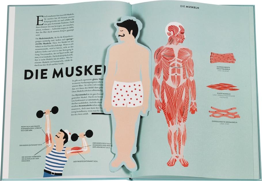 Beispielinhalt (Bild) Anatomie