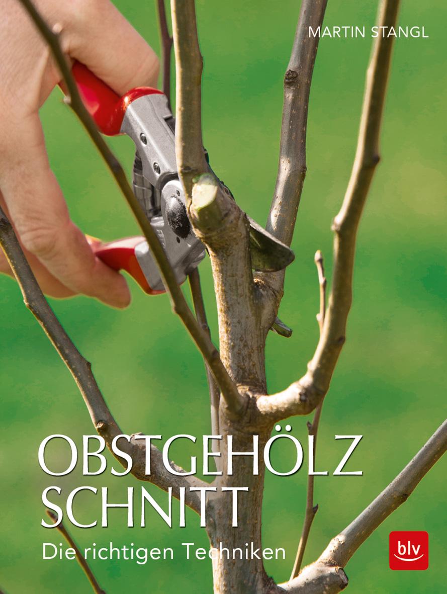 Vorderes Coverbild Obstgehölzschnitt