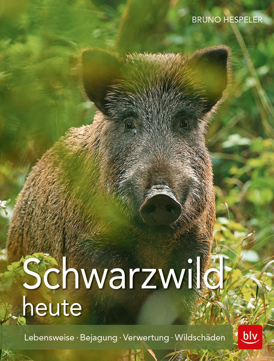 Vorderes Coverbild Schwarzwild heute