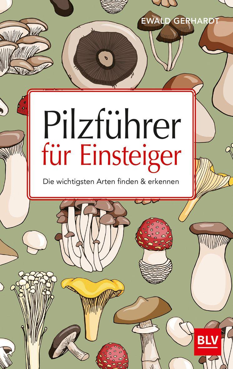 Vorderes Coverbild Pilzführer für Einsteiger