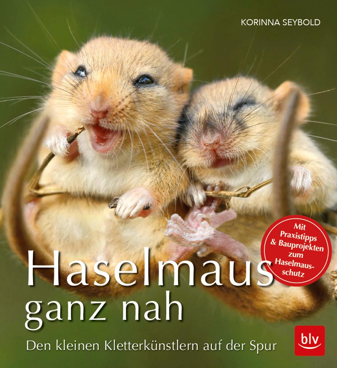 Vorderes Coverbild Haselmaus ganz nah