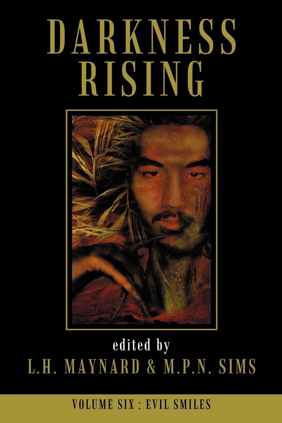 Vorderes Coverbild Darkness Rising 6