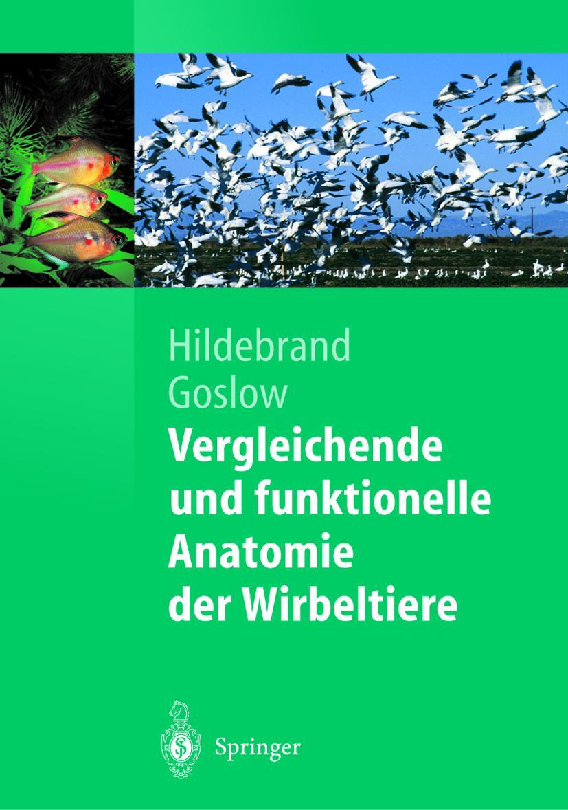 Vorderes Coverbild Vergleichende und funktionelle Anatomie der Wirbeltiere