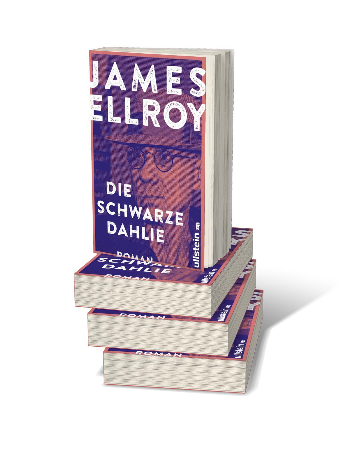 Beispielinhalt (Bild) Die schwarze Dahlie