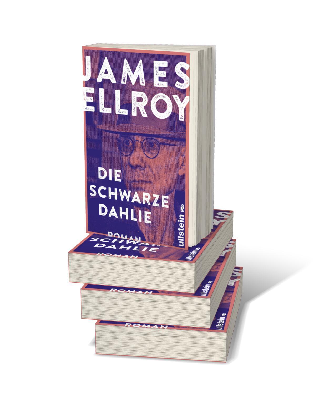 Beispielinhalt (Bild) Die schwarze Dahlie