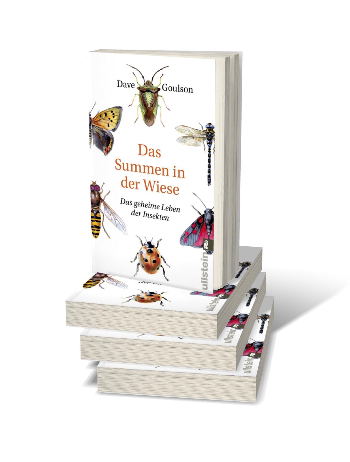 Beispielinhalt (Bild) Das Summen in der Wiese