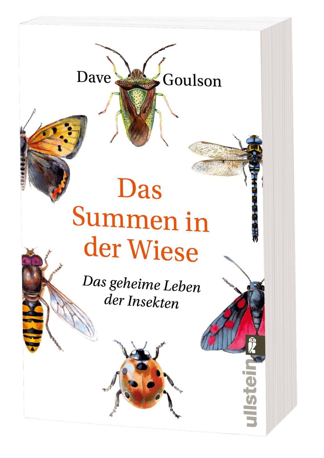 Vorderes Coverbild Das Summen in der Wiese