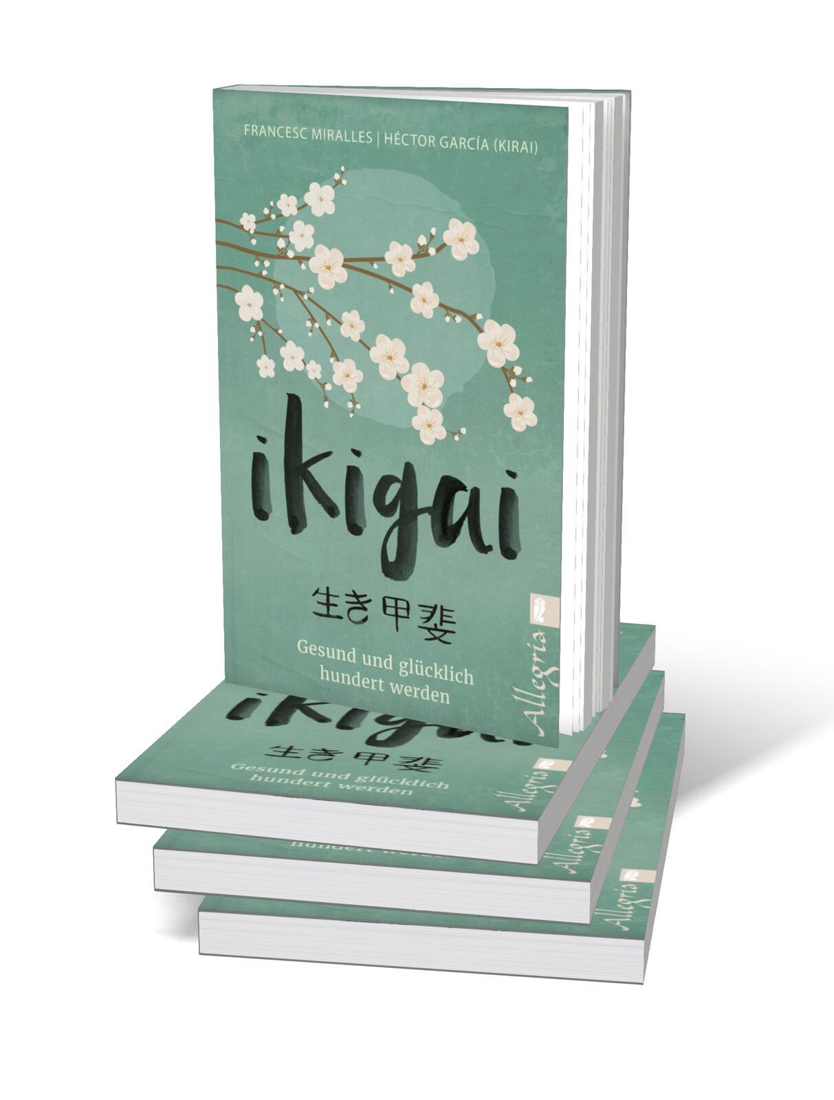 Beispielinhalt (Bild) Ikigai