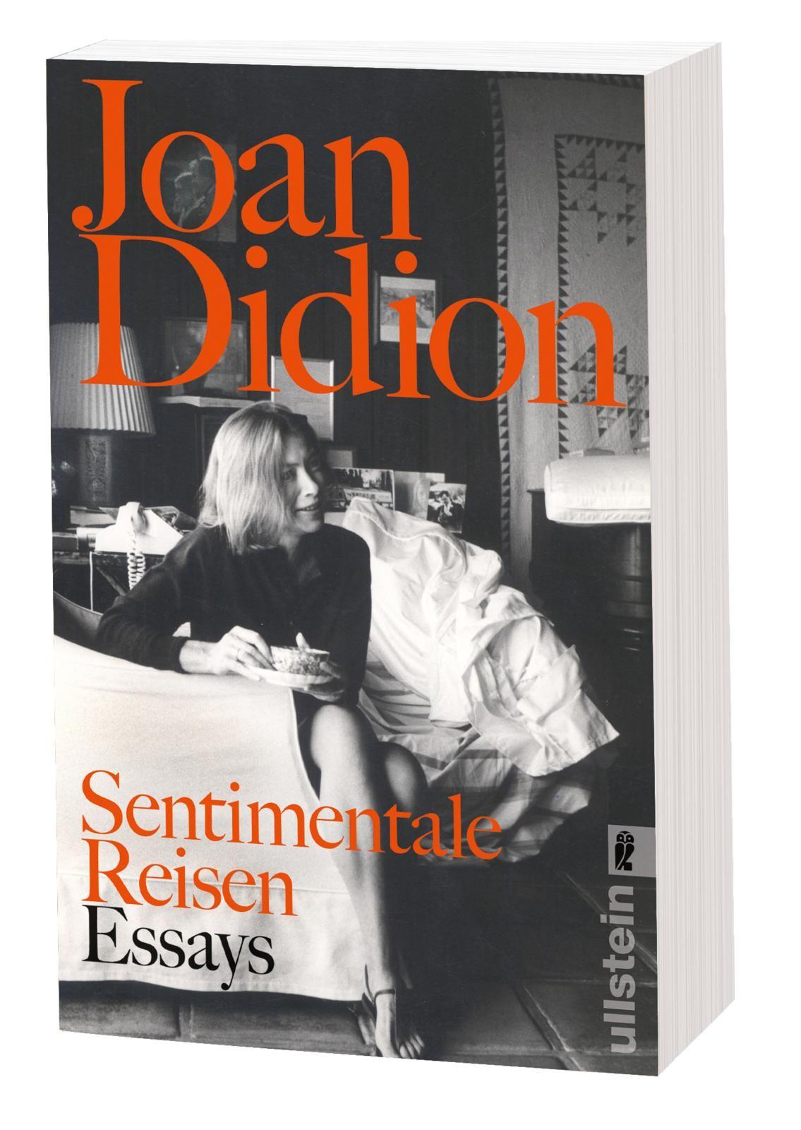 Vorderes Coverbild Sentimentale Reisen