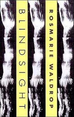 Vorderes Coverbild Blindsight