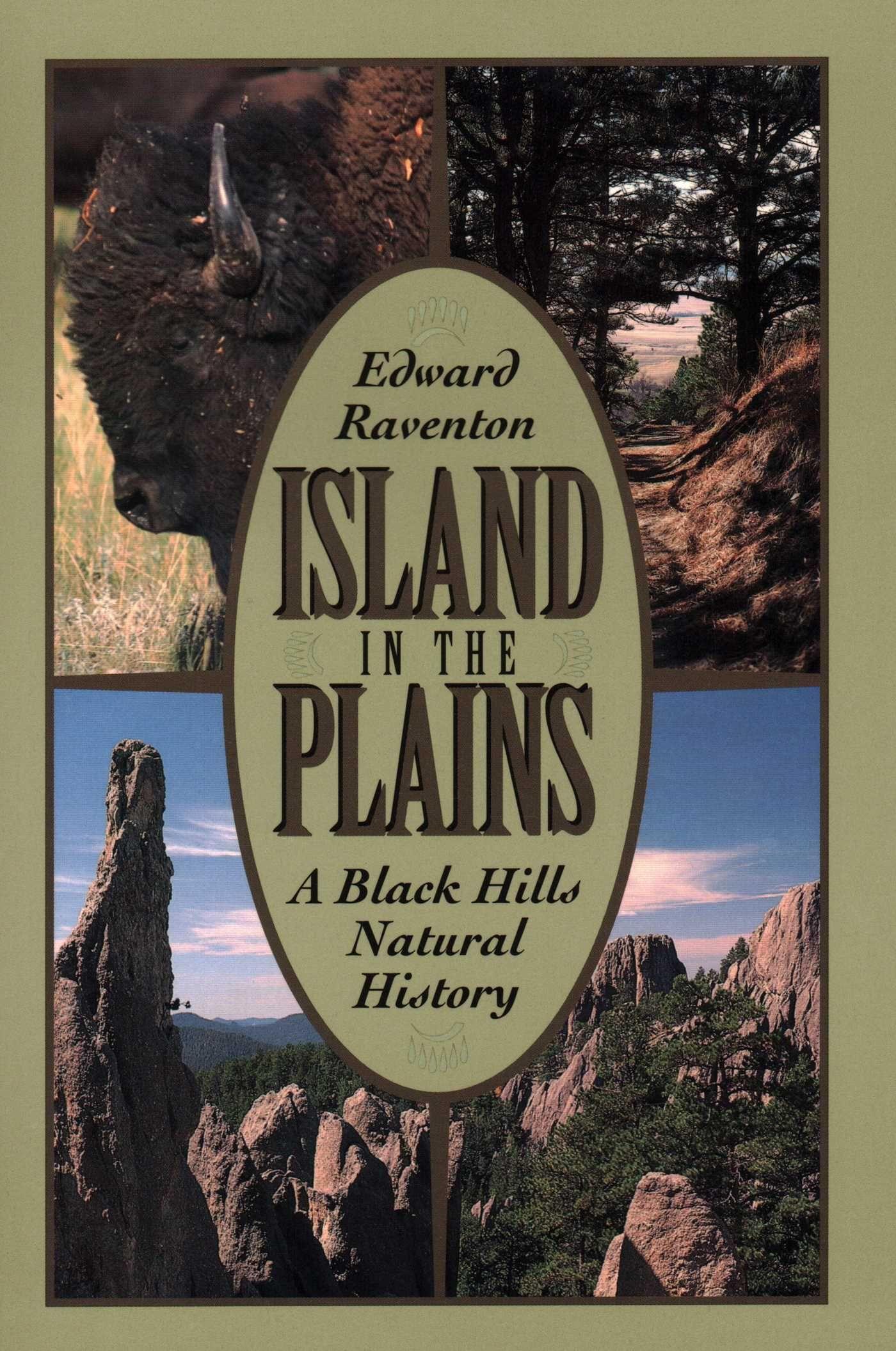 Vorderes Coverbild Island in the Plains