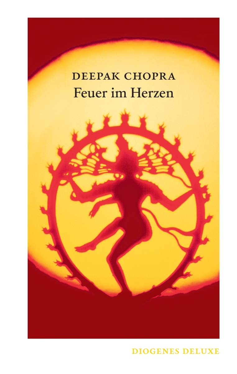 Vorderes Coverbild Feuer im Herzen