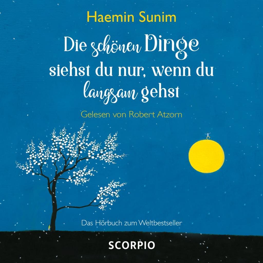 Vorderes Coverbild Die schönen Dinge siehst du nur, wenn du langsam gehst