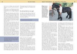 Beispielinhalt (Bild) Be strict im Sattel