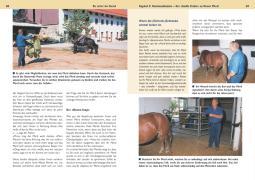 Beispielinhalt (Bild) Be strict im Sattel