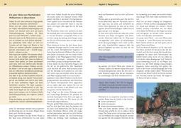 Beispielinhalt (Bild) Be strict im Sattel