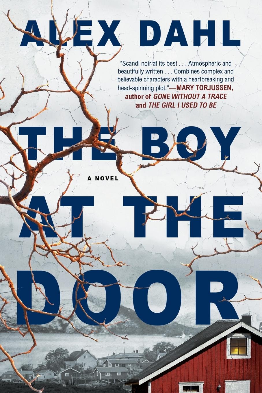 Vorderes Coverbild The Boy at the Door