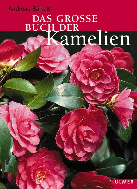 Vorderes Coverbild Das grosse Buch der Kamelien