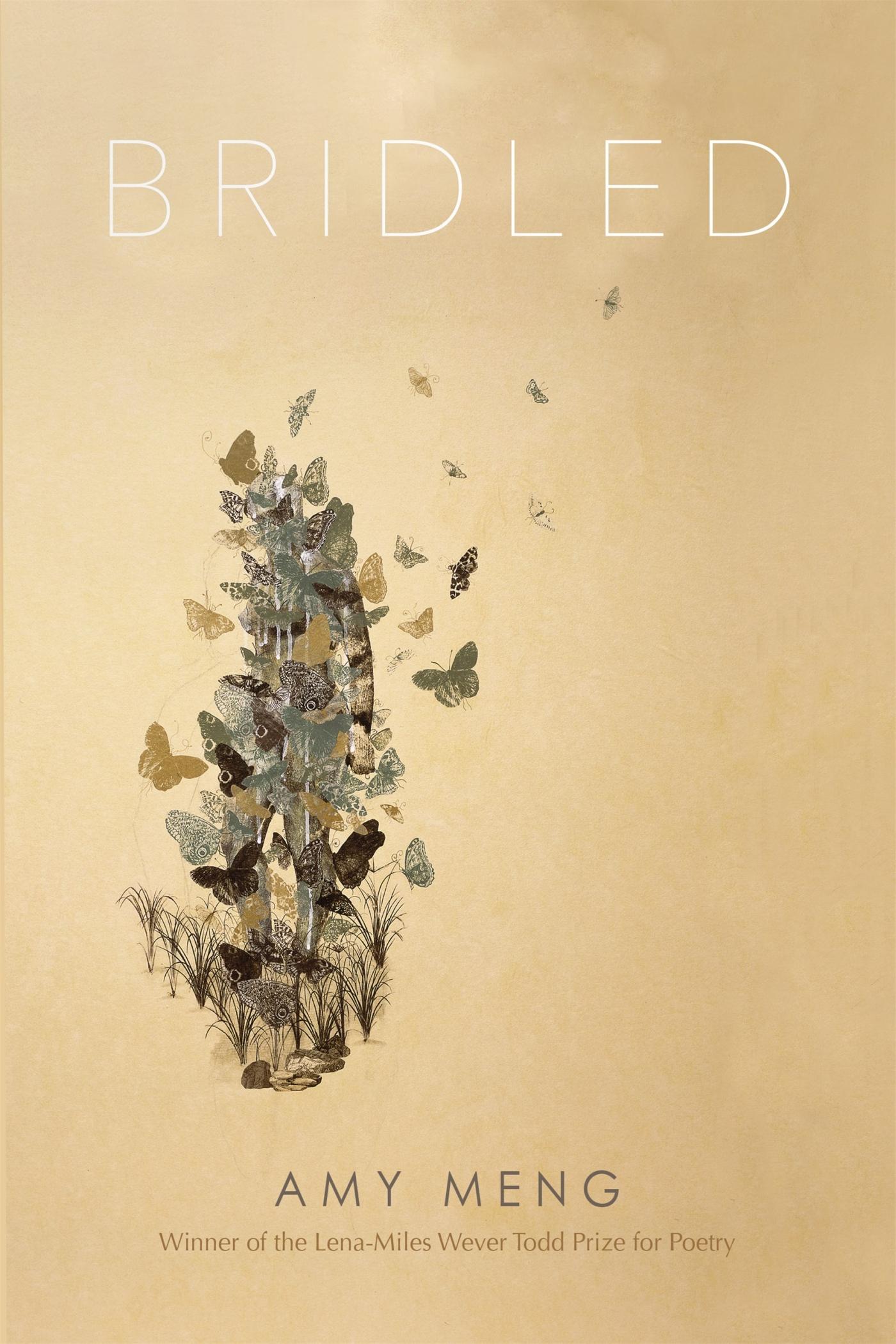Vorderes Coverbild Bridled