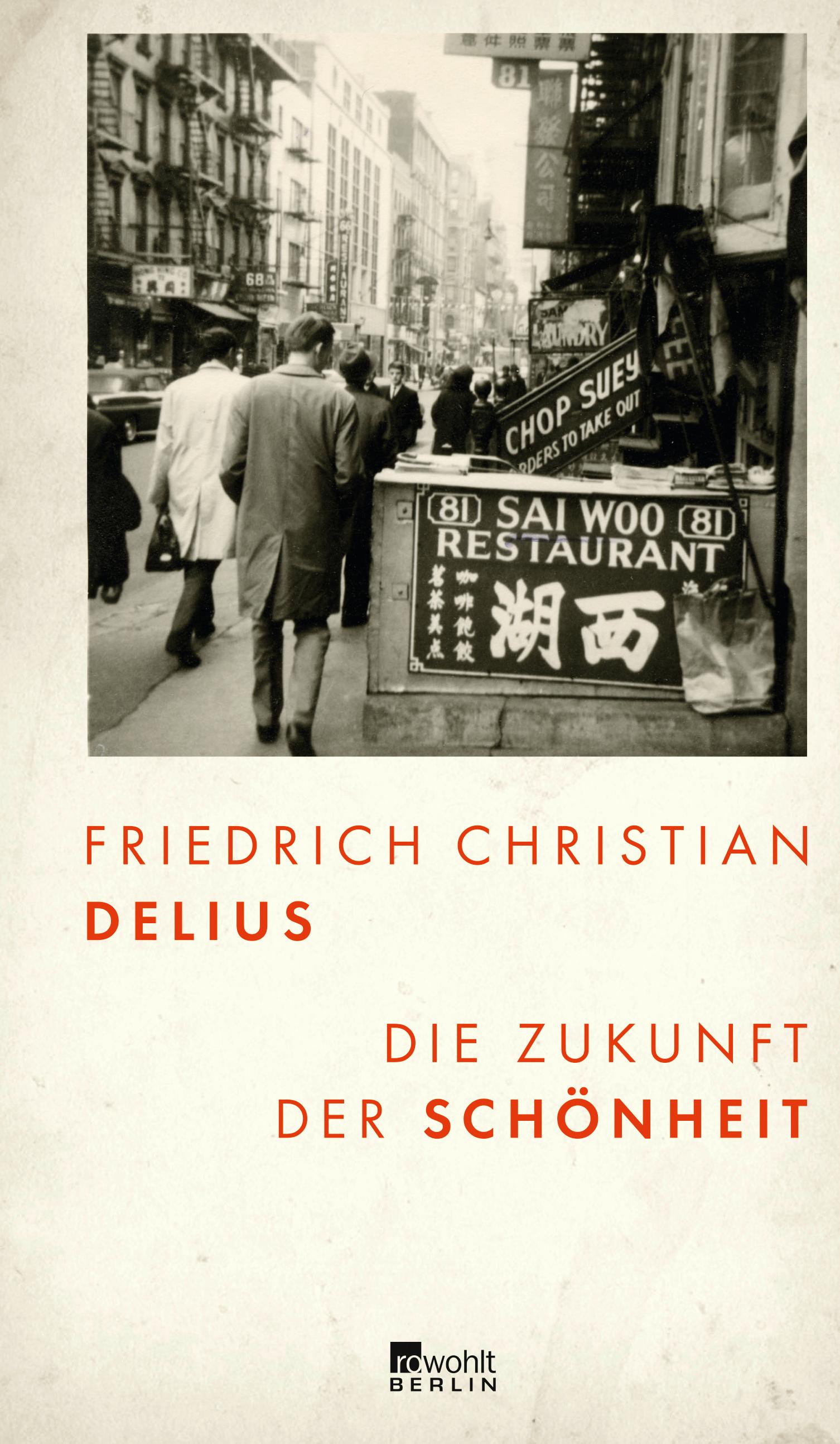 Vorderes Coverbild Die Zukunft der Schönheit