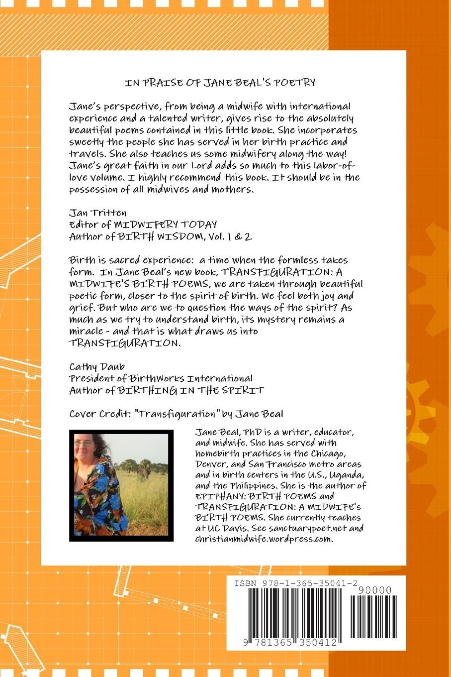 Rückseitencover Transfiguration