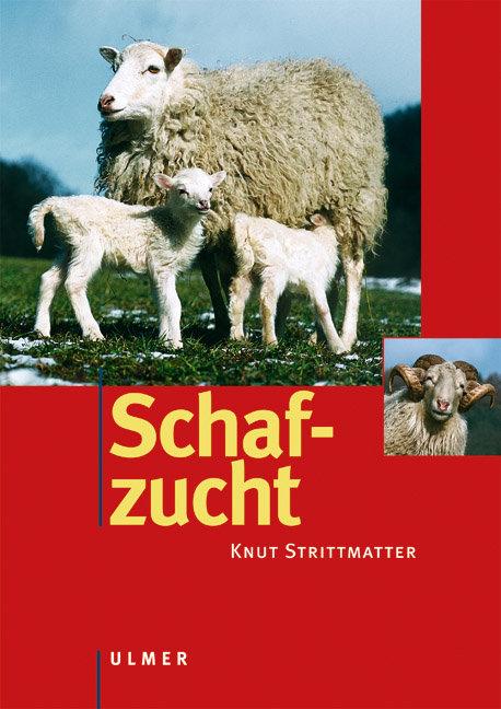 Vorderes Coverbild Schafzucht
